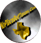 Texas Logo
